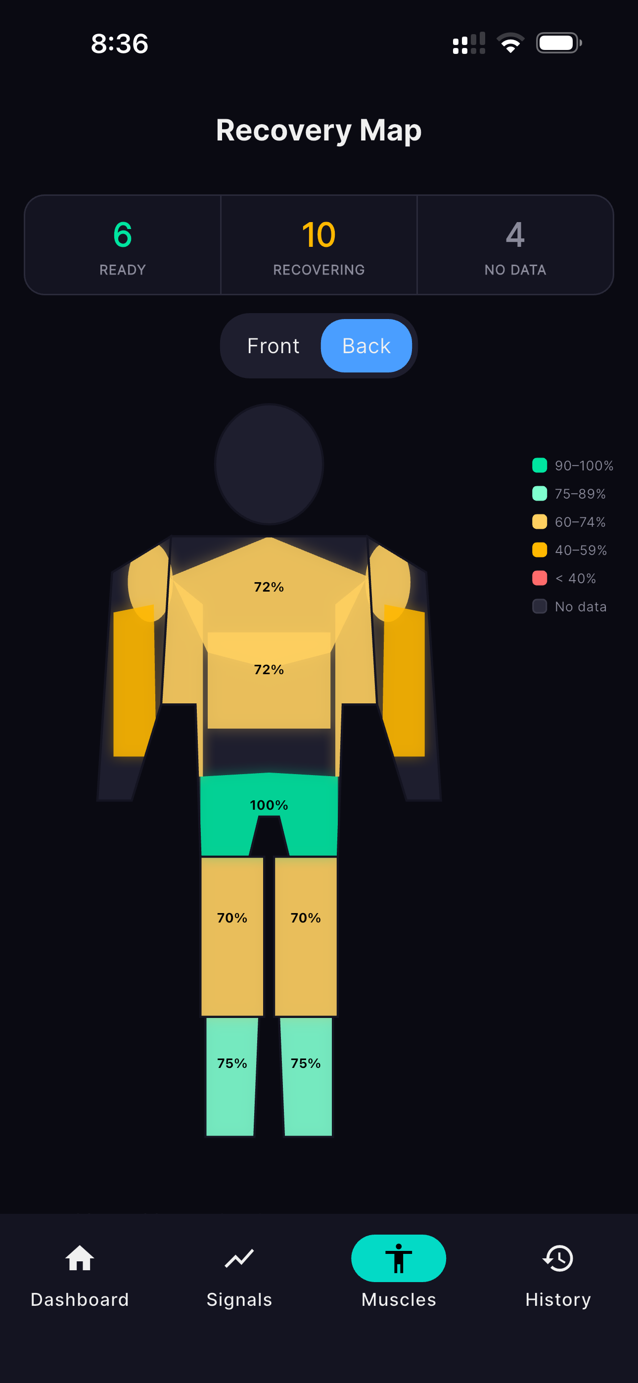 Back Muscle Map