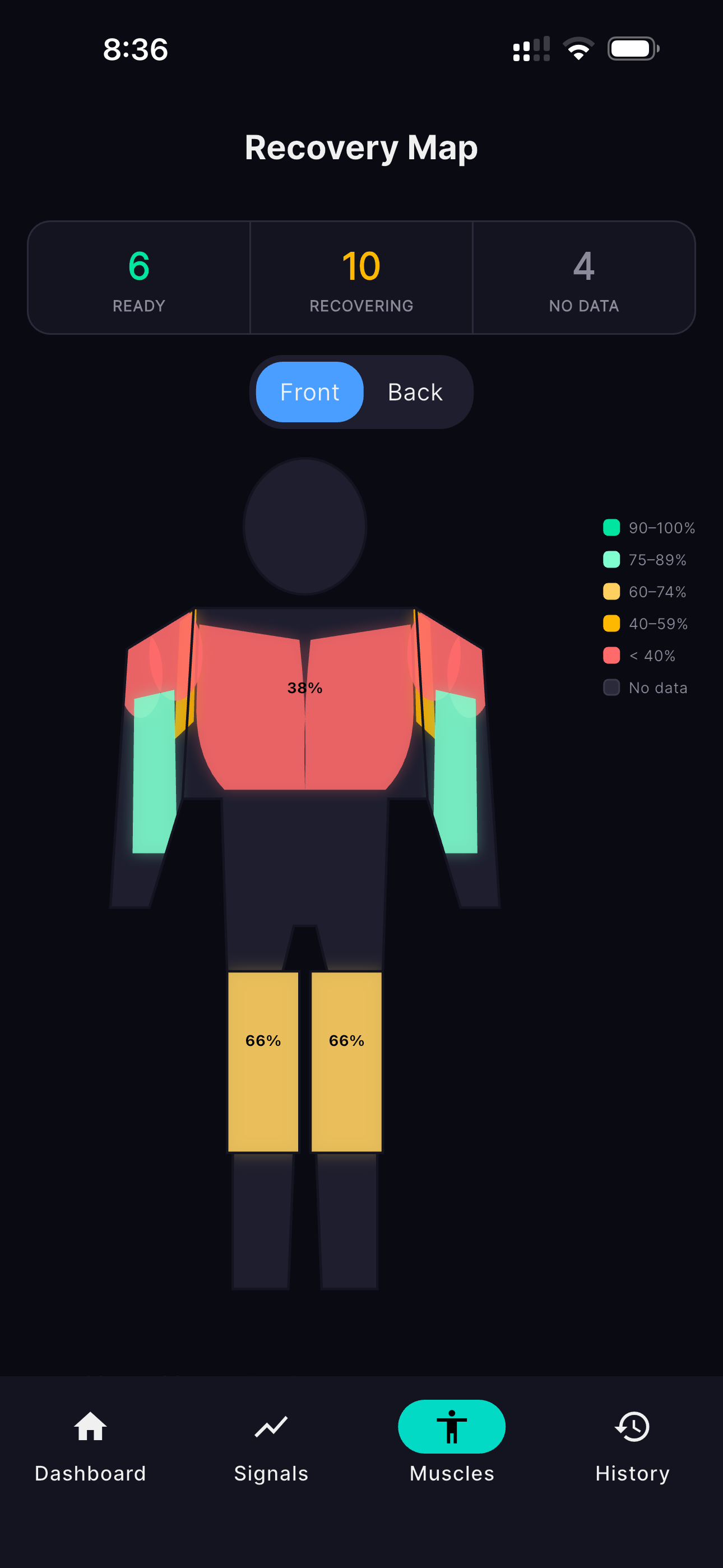 Front Muscle Map